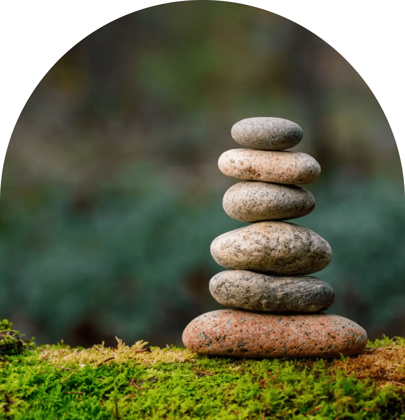 Holistic Wellness With Emily
